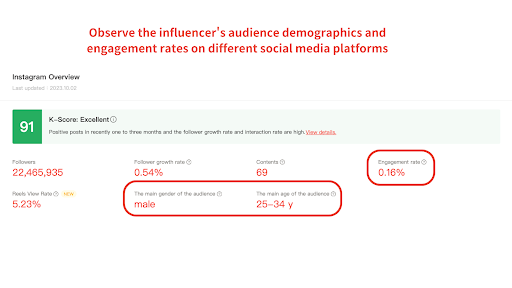 influencer audience profiles