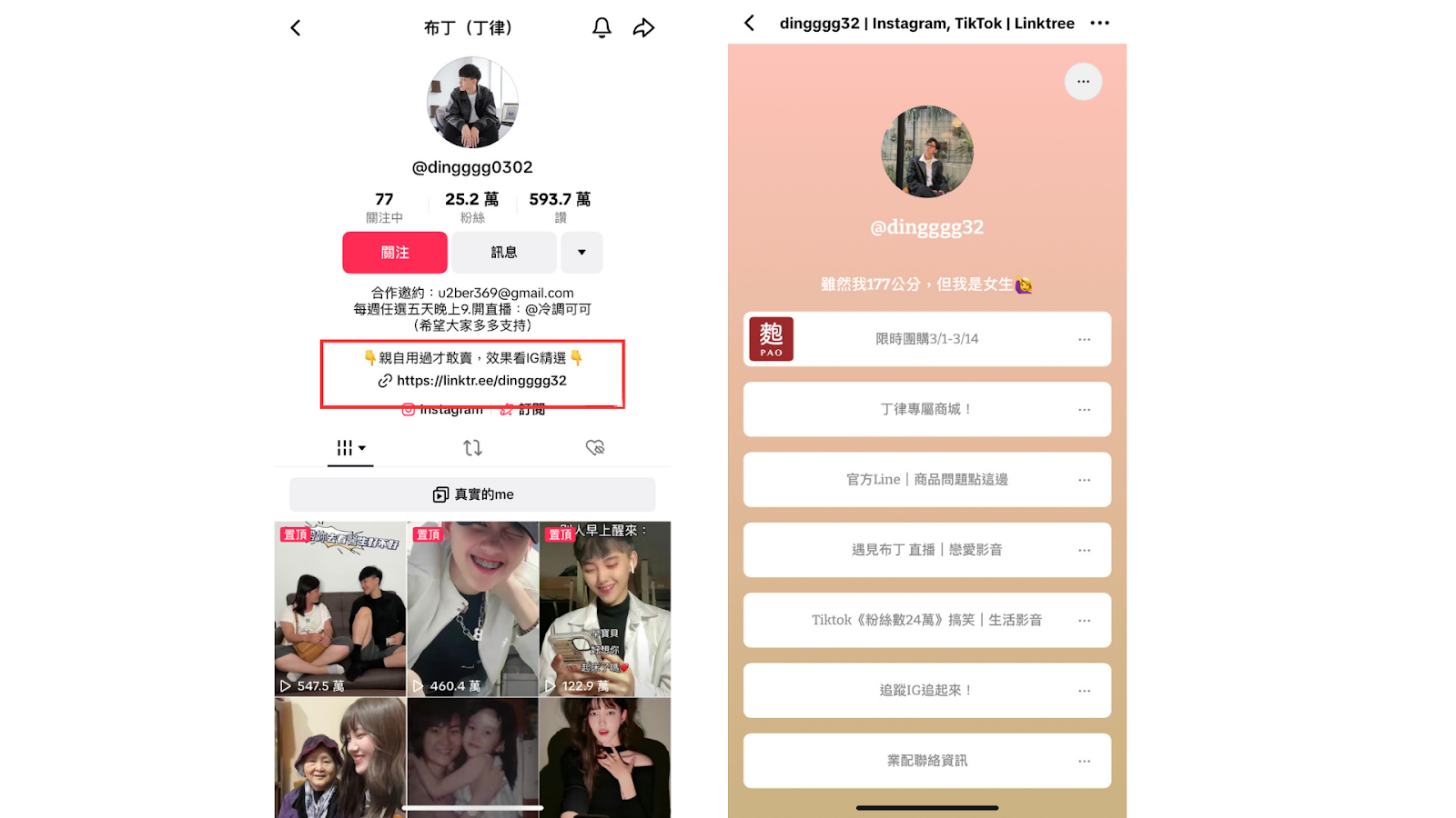 布丁's TIkTok Profile Page